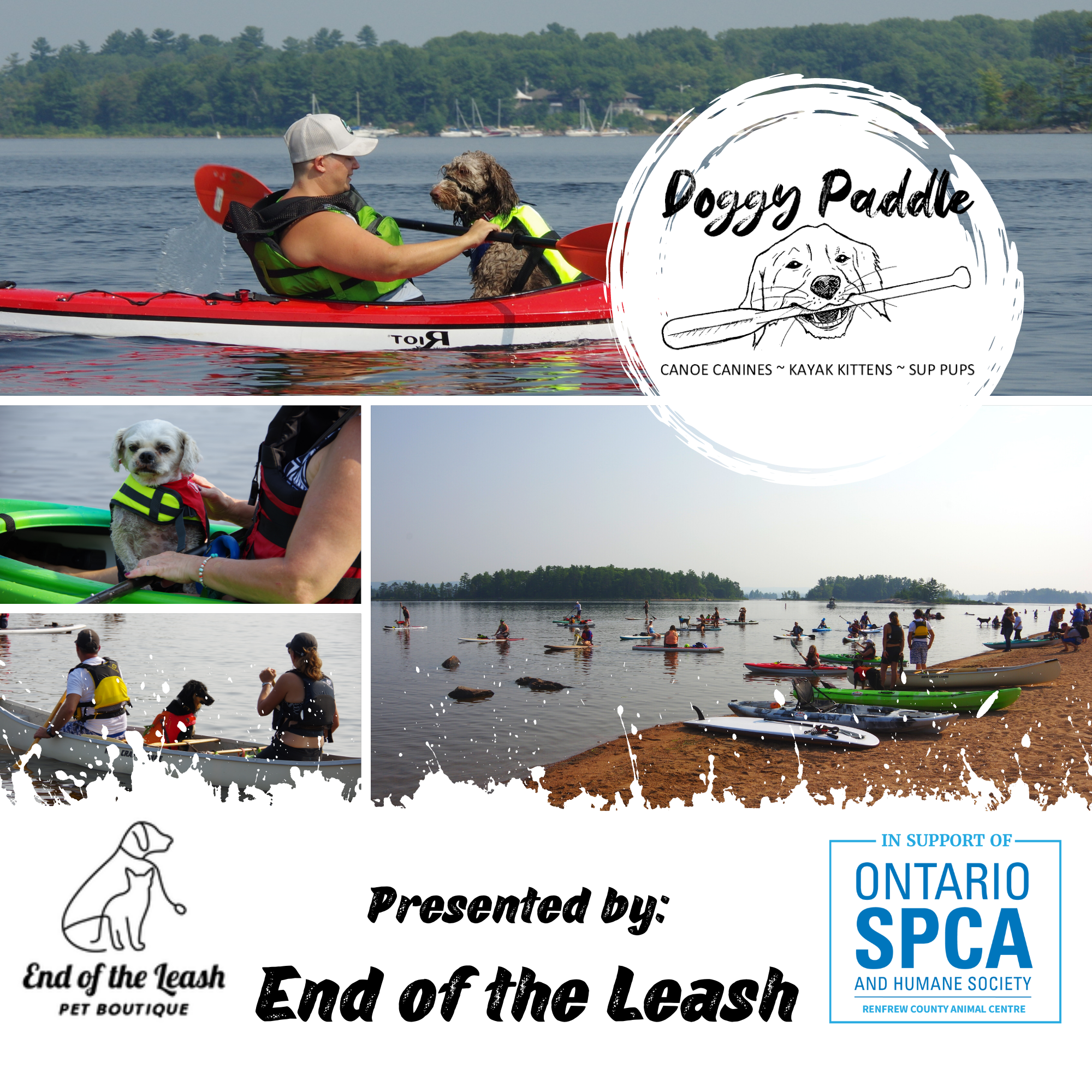 doggie paddle event poster