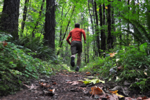 Forest Lea Trail Run
